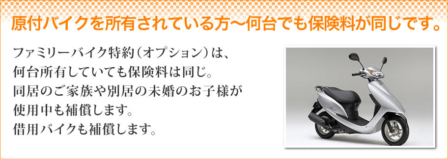 ���t�o�C�N�����L����Ă�����`����ł��ی����������ł��B